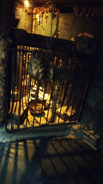 Germania, cautam domina SM studio