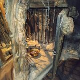 Germania, cautam domina SM studio